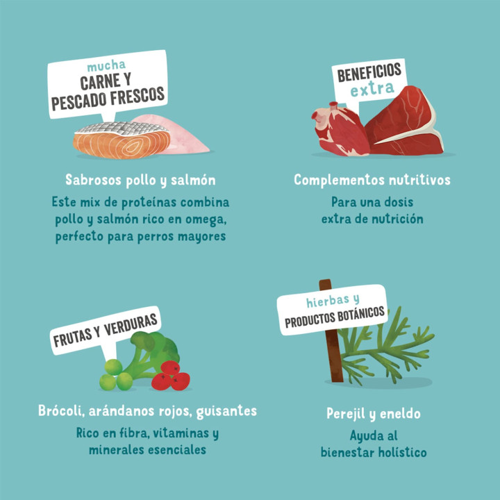 Edgard & Cooper, comida húmeda natural para perros - Kompymascotas