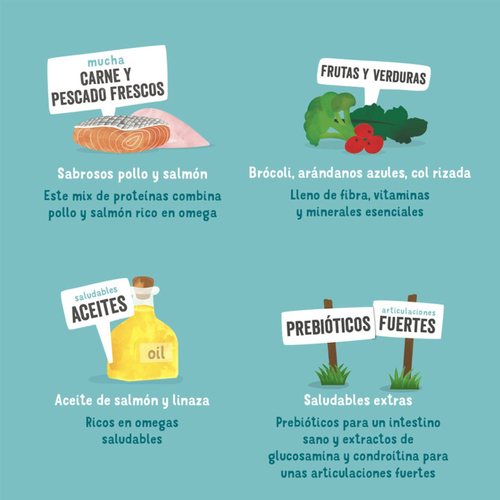 Edgard & Cooper, comida húmeda natural para perros - Kompymascotas