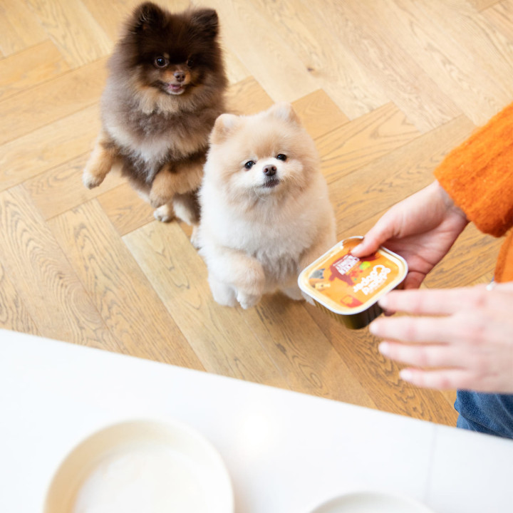 Edgard & Cooper, comida húmeda natural para perros - Kompymascotas