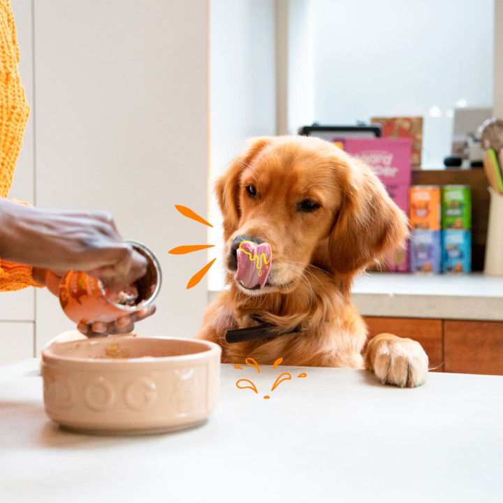 Edgard & Cooper, comida húmeda natural para perros - Kompymascotas