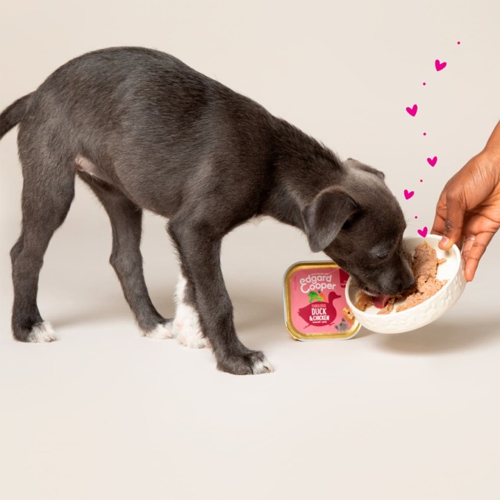 Edgard & Cooper, comida húmeda natural para perros -Kompymascotas