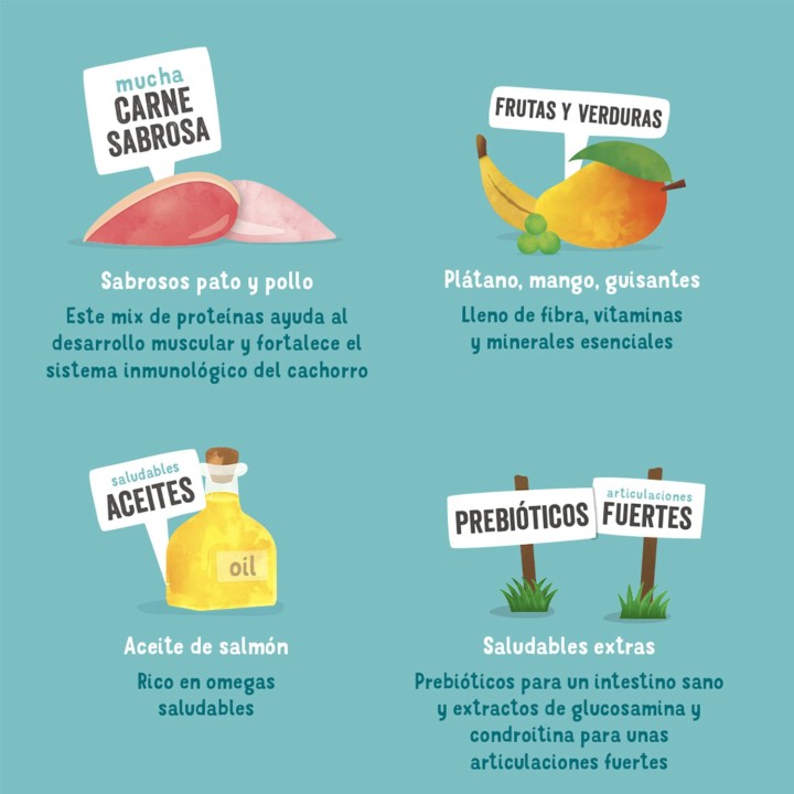 Edgard & Cooper, comida húmeda natural para perros - Kompymascotas