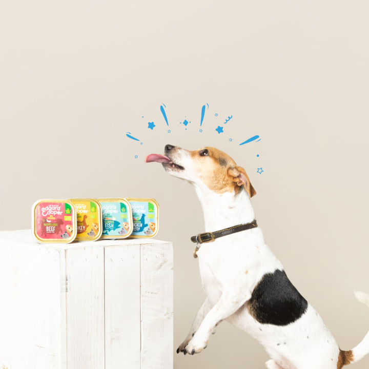 Edgard & Cooper, comida húmeda natural para perros