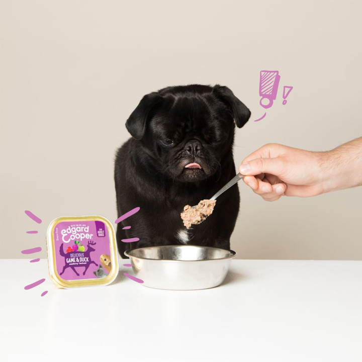 Edgard & Cooper, comida húmeda natural para perros - Kompymascotas
