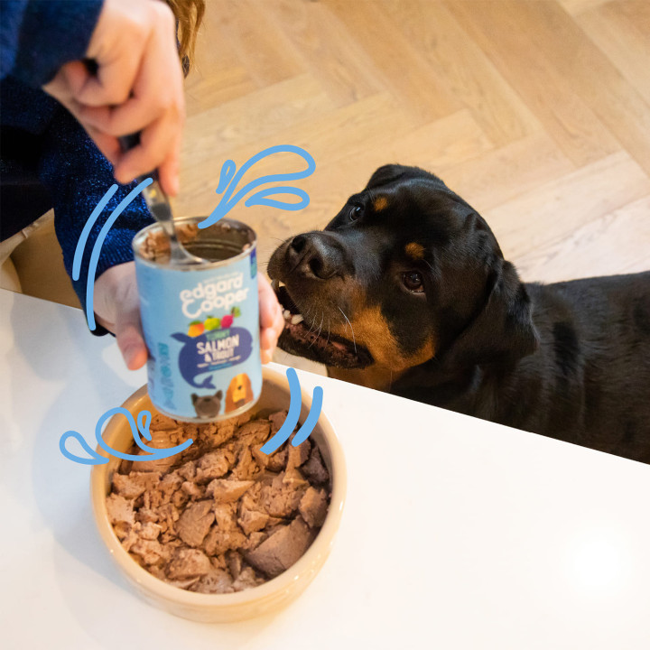 Edgard & Cooper, comida húmeda natural para perros - Kompymascotas