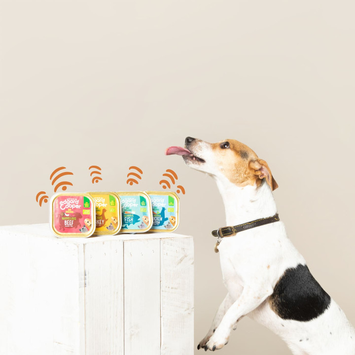 Edgard & Cooper, comida húmeda natural para perros - Kompymascotas