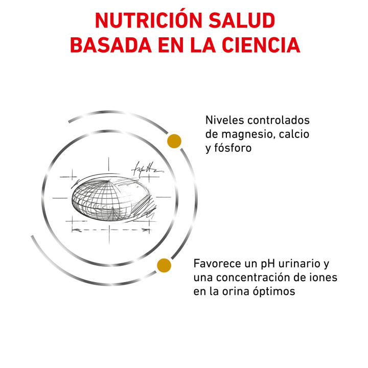 Pienso veterninario Royal Canin para gatos - Kompymascotas
