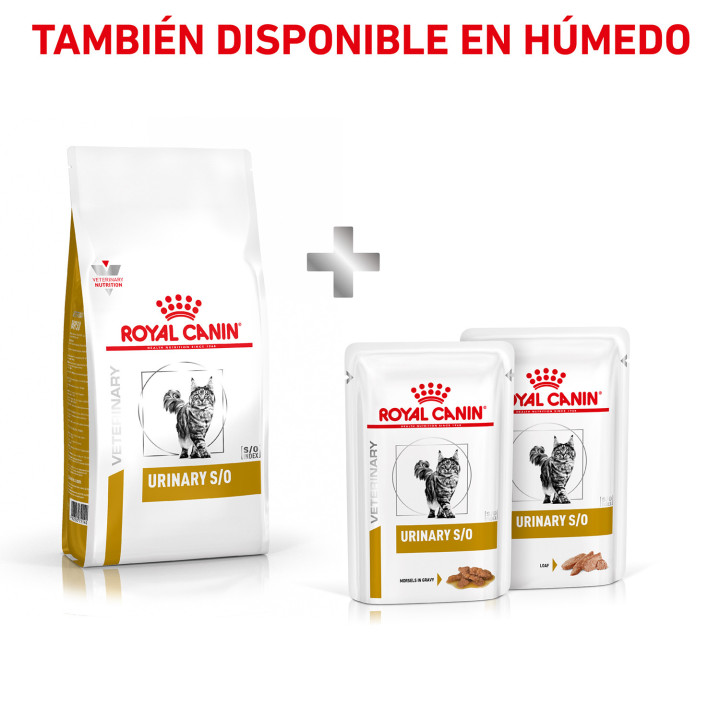 Pienso veterninario Royal Canin para gatos - Kompymascotas