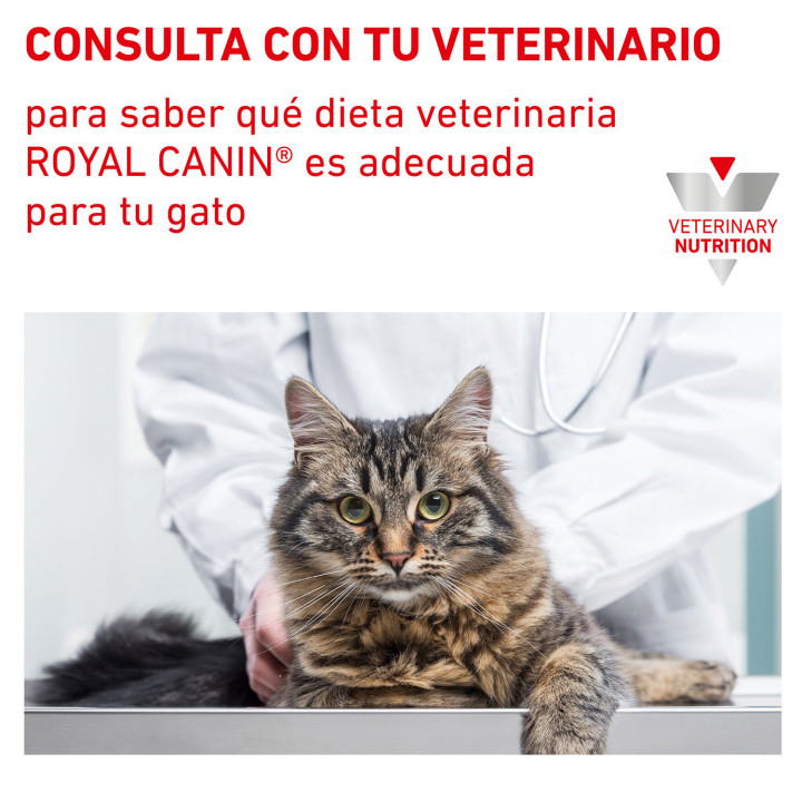 Pienso veterninario Royal Canin para gatos - Kompymascotas
