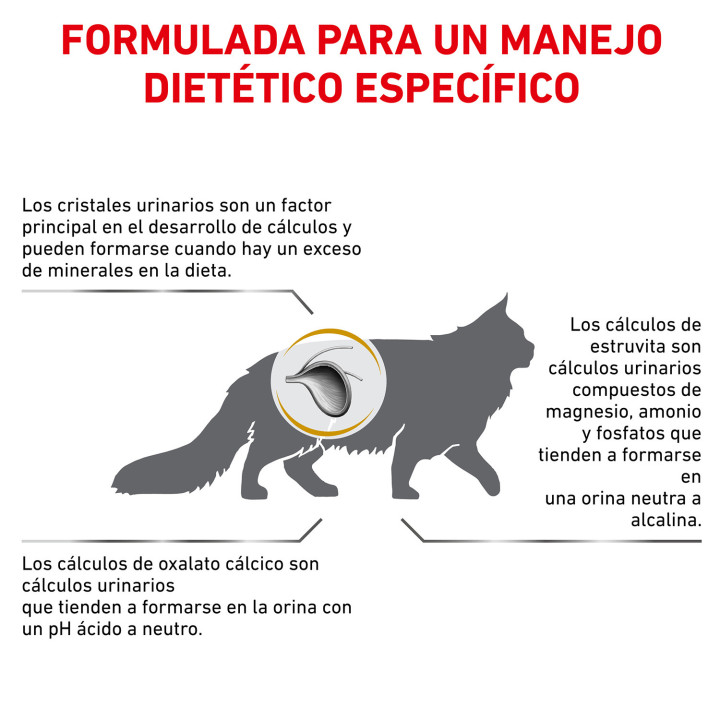 Pienso veterninario Royal Canin para gatos - Kompymascotas