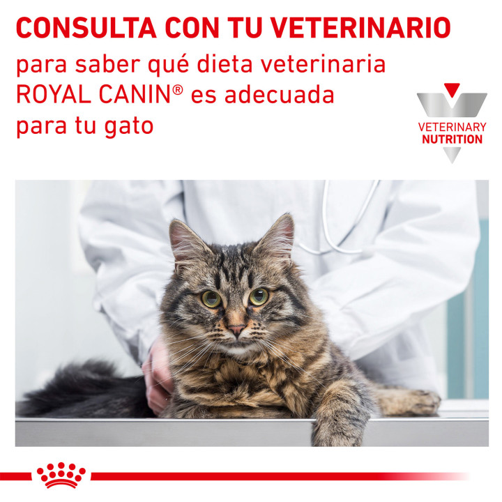Royal Canin Urinary S/O Moderate Calorie Sobre Gato, Comida húmeda - Kompymascotas