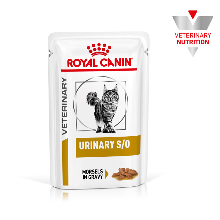 Royal Canin Feline Urinary S/O comida húmeda para gatos - Kompymascotas