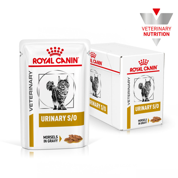 Royal Canin Feline Urinary S/O comida húmeda para gatos - Kompymascotas