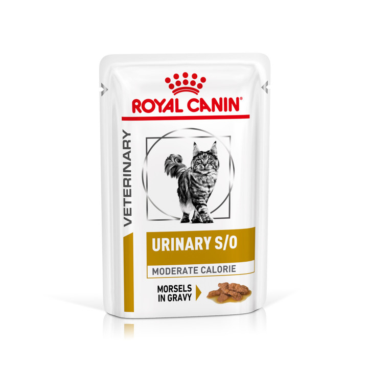 Royal Canin Urinary S/O Moderate Calorie Sobre Gato, Comida húmeda - Kompymascotas