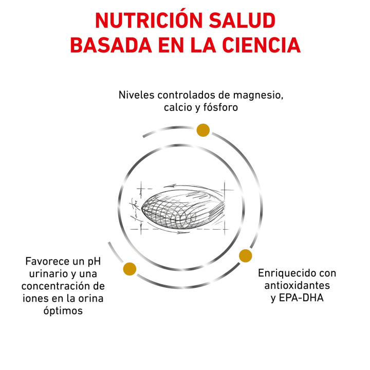 Royal Canin Urinary S/O, pienso para perros - Kompymascotas