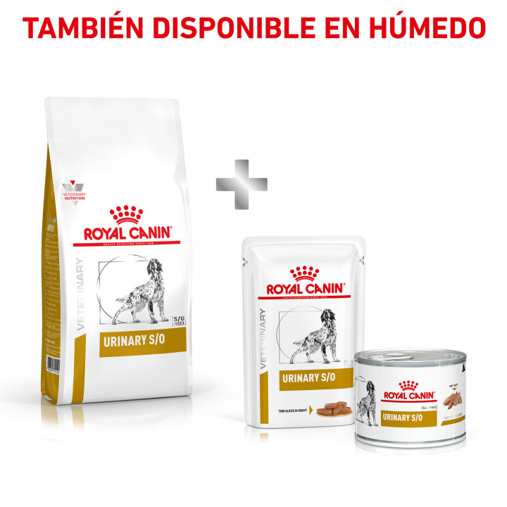 Royal Canin Urinary S/O, pienso para perros - Kompymascotas
