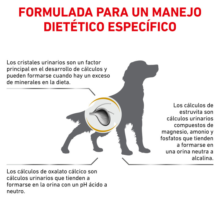 Royal Canin Urinary S/O, pienso para perros - Kompymascotas