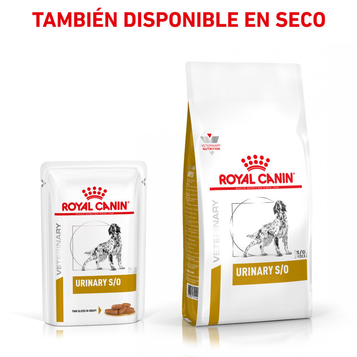 Royal Canin Urinary S/O - Kompymascotas