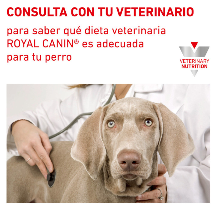 Royal Canin Urinary S/O - Kompymascotas