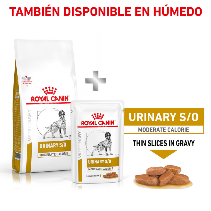 Royal Canin Urinary Moderate Calorie, pienso para perros - Kompymascotas
