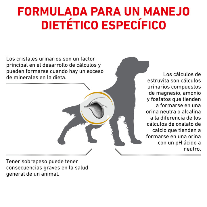 Royal Canin Urinary Moderate Calorie, pienso para perros - Kompymascotas