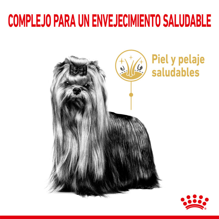 Royal Canin Yorkshire Terrier Adult 8+