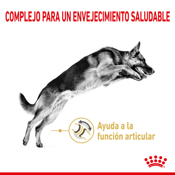 Royal Canin Pastor Alemán 5+