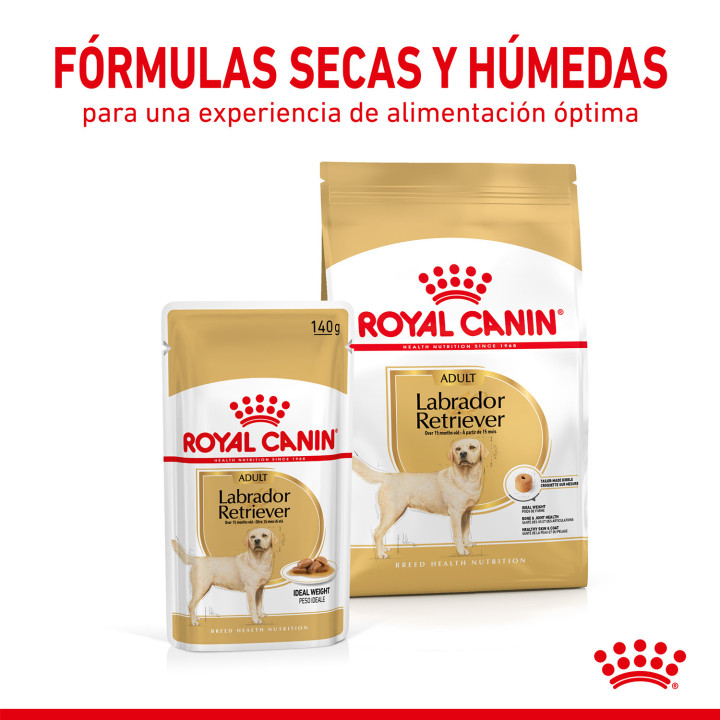 Royal Canin Labrador Retriever Adult Pouch