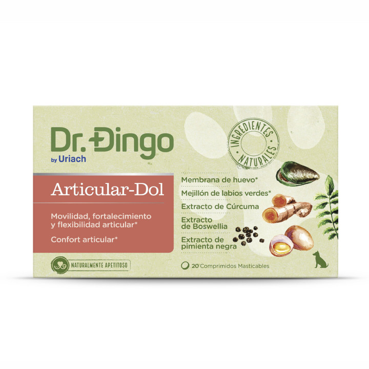 Dr. Dingo Articular Dol - Kompymascotas