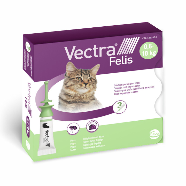 Vectra Felis Pipeta antiparasitaria para gatos - Kompymascotas