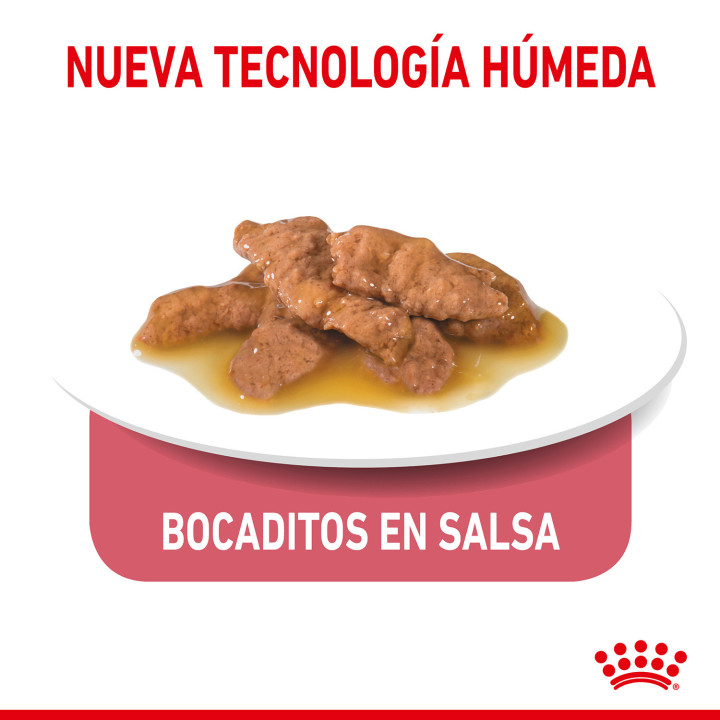 Royal Canin Feline Health Nutrition Indoor - Kompymascotas