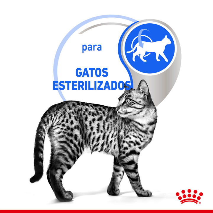 Royal Canin Feline Health Nutrition Indoor - Kompymascotas