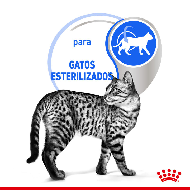 Royal Canin Feline Indoor Sterilised  gelatina - Kompymascotas