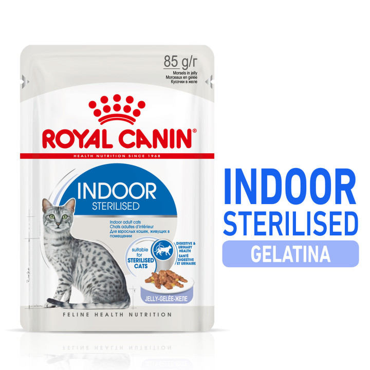 Royal Canin Feline Indoor Sterilised  gelatina - Kompymascotas