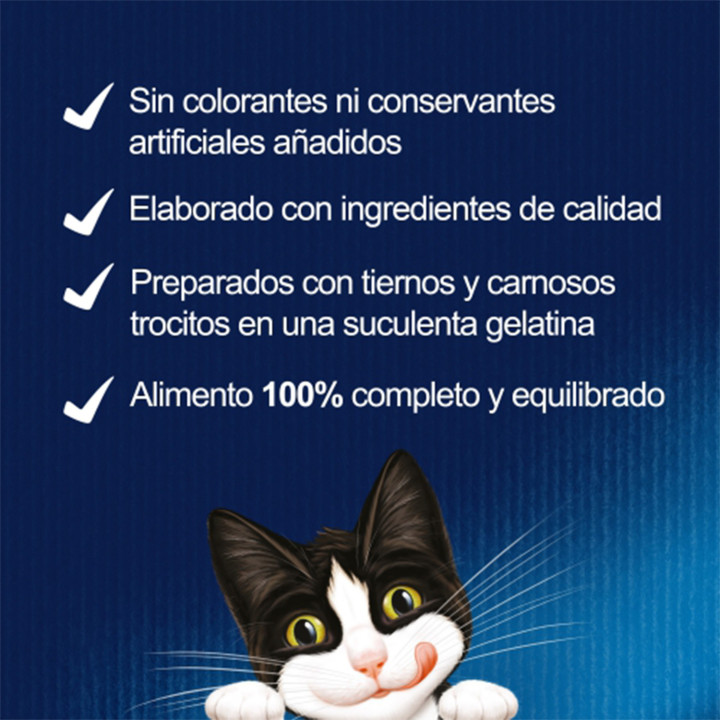 Purina Félix Estándar Buey e Hígado en Gelatina - Kompymascotas
