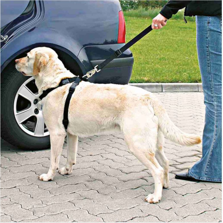 Arnés con cinturón de Seguridad, Accesorios para perro - Kompymascotas