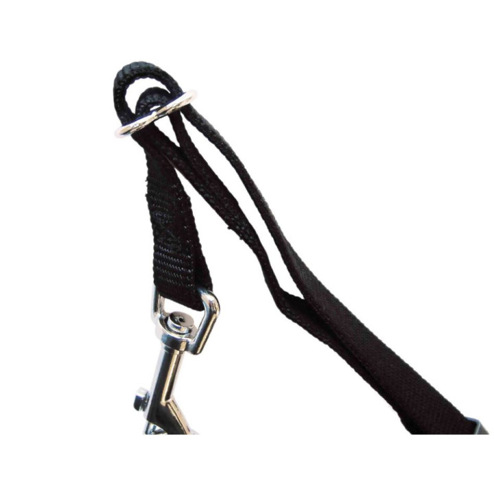 Arnés con cinturón de Seguridad, Accesorios para perro - Kompymascotas