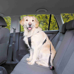 Arnés con cinturón de Seguridad, Accesorios para perro - Kompymascotas