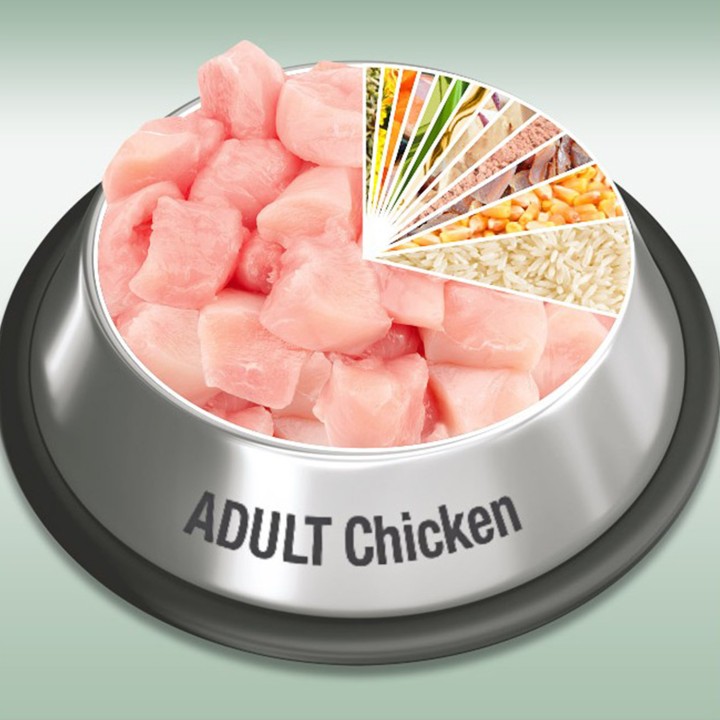 Pienso Platinum Natural Adult Chicken, Pienso para perros - Kompymascotas