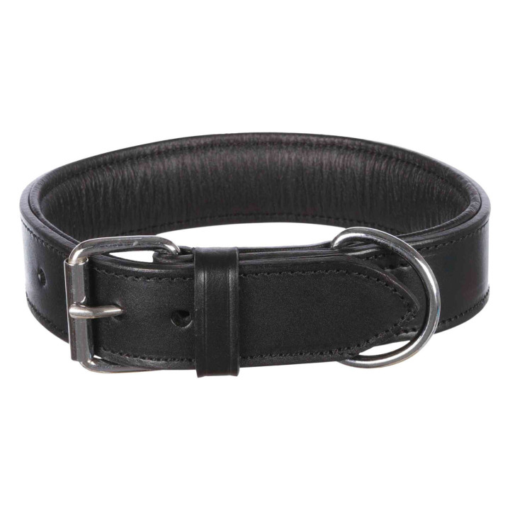 Collar Active, Alta Calidad, Version Extra Ancha  - Piensosymascotas