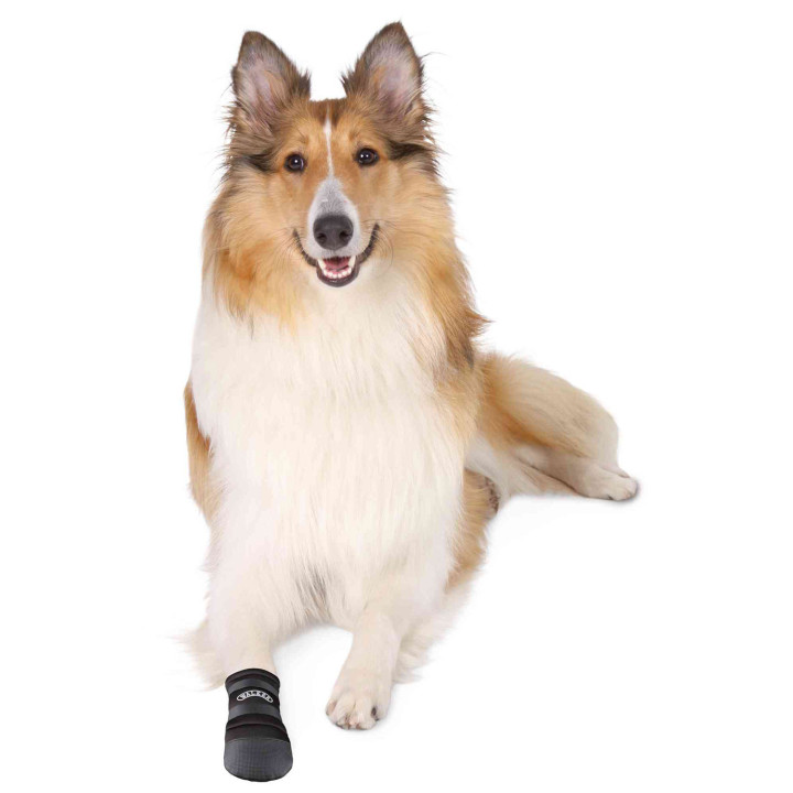 Botas para perro de neopreno Walker Accesorios para perros - Kompymascotas