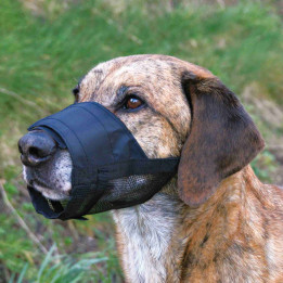 Bozal nylon con malla cosida, Varios tamaños - Kompymascotas