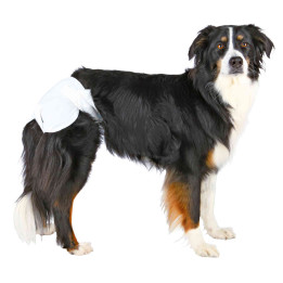 Pañales ultra absorbentes para perro, hembra - Kompymascotas