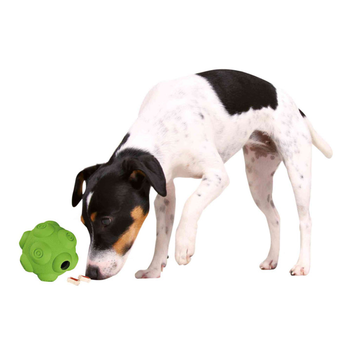 Pelota Snacks Dog Activity, Juguetes para perros - Kompymascotas