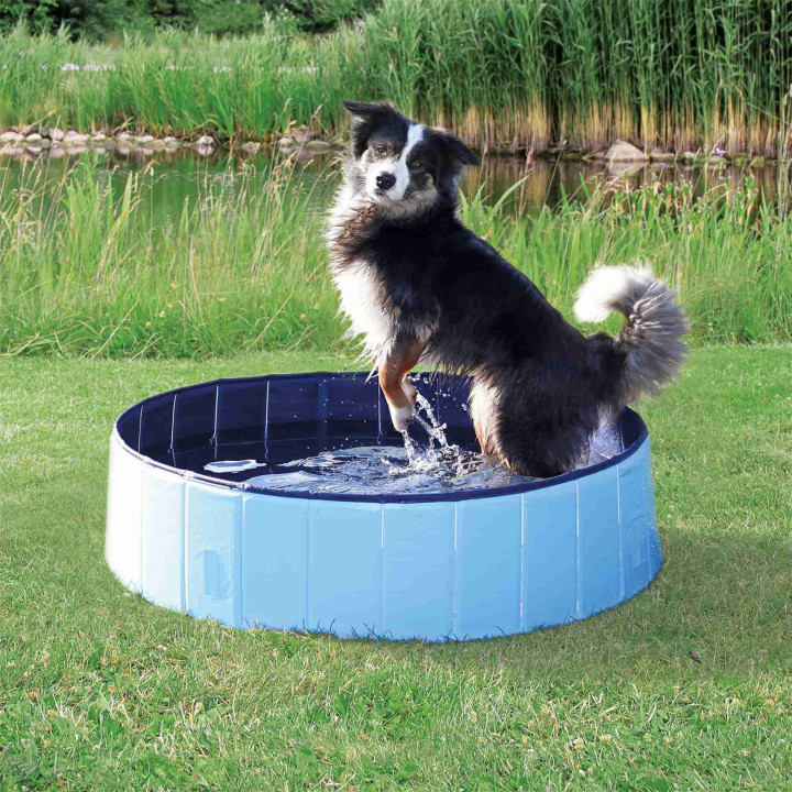Piscina para perros, Juguetes para perros - Kompymascotas