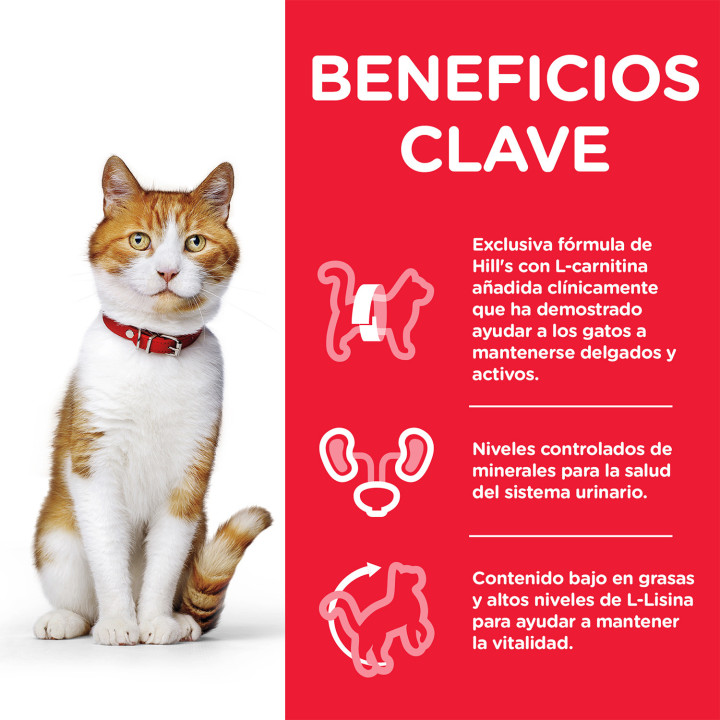Hill´s Science Plan Feline Sterilised Trucha - Kompymascotas