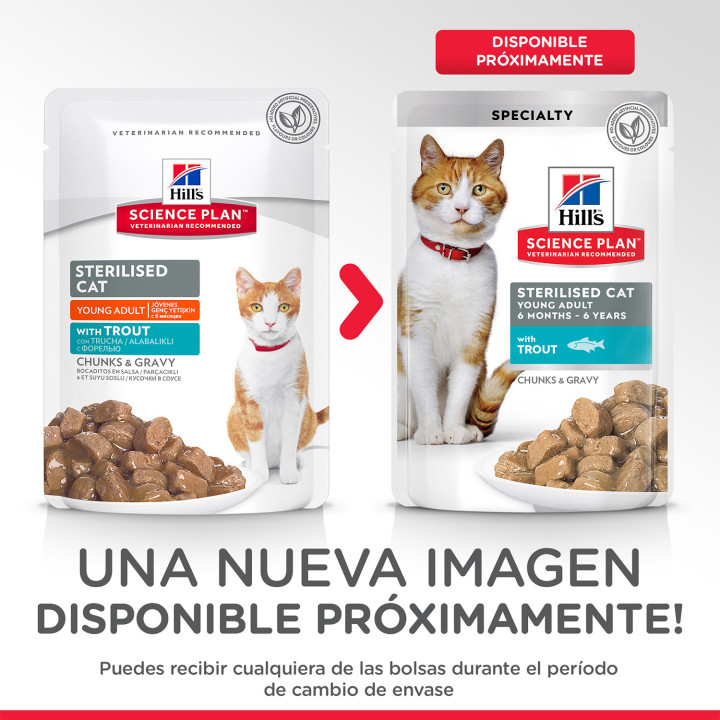 Hill´s Science Plan Feline Sterilised Trucha - Kompymascotas