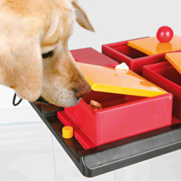 Dog Activity Poker Box Vario , Juguetes para perros - Kompymascotas
