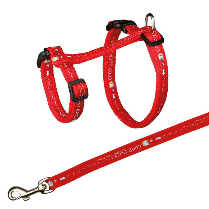Arnés XL con Correa, Accesorios para gato - Kompymascotas