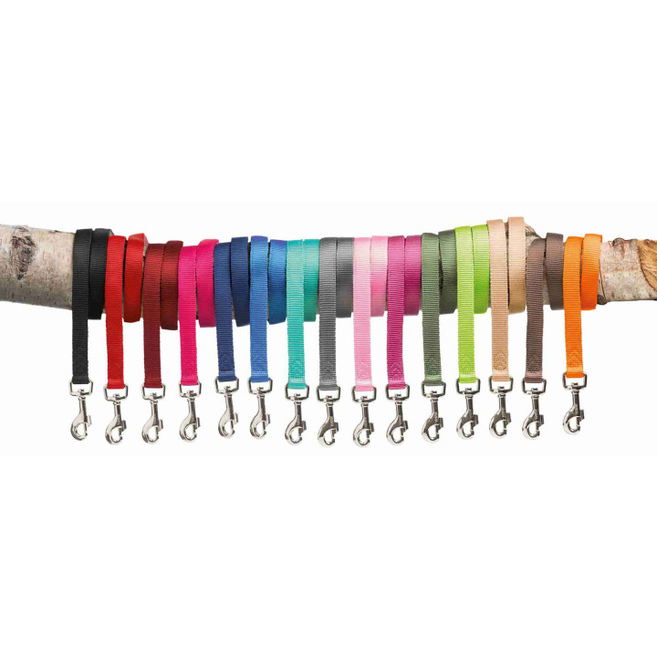 Correa Premium, Accesorios para perros - Kompymascotas